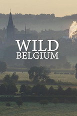 Det vilda Belgien poster