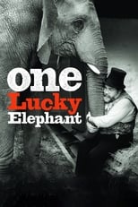 Poster for One Lucky Elephant 