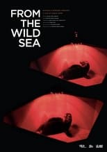 Poster for From the Wild Sea 