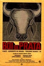 Poster for Boi de Prata 