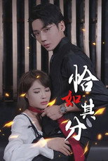 恰如其分 poster