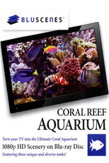 BluScenes: Coral Reef Aquarium poster