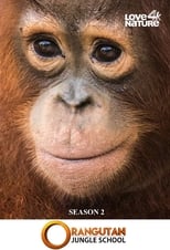 Poster for Orangutan Jungle School Season 2