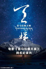 喜马拉雅天梯 poster