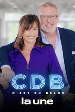C'est du belge poster