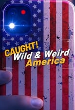 Poster for Wild & Weird America