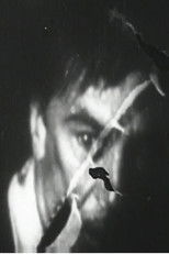 Cooper/Bridges Fight