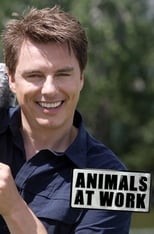 Poster for Animals at Work Season 2