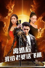 离婚后我给老婆送飞机 poster