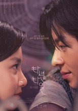타년타일