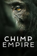 Poster for Chimp Empire