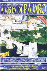 A vista de pájaro poster