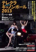 The Sex Cannon Ball Run 2013 poster movie