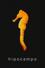 Hipocampo