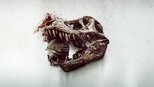 Primitive War-9