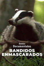 Masked Bandits