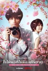 Image Love Like the Falling Petals | Netflix (2022) ใบไม้ผลิที่ไม่มีเธอเป็นซากุระ