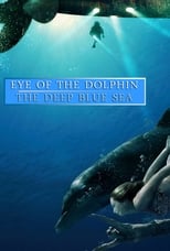 Eye of the Dolphin Collection