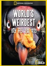 World's Weirdest poster image