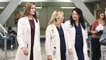 Grey’s Anatomy: 11 Temporada, E o Vento Levou