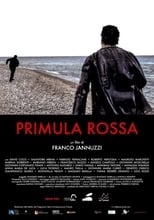 Poster for Primula Rossa