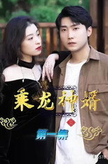 乘龙神婿 poster