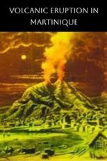 The Terrible Eruption of Mount Pelee and Destruction of St. Pierre, Martinique main poster