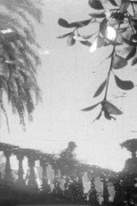 Reflexes