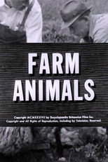 Farm Animals