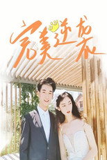 完美逆袭 poster