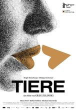 Ver Tiere (2017) Online