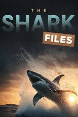 The Shark Files poster