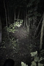 Untitled Found Footage Project