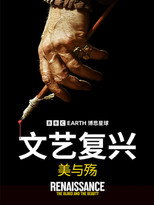 文艺复兴：美与殇 poster