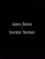 Poster for Stormin' Norman