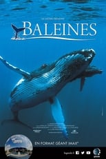 Baleines serie streaming