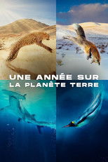 Une année sur la planète Terre
