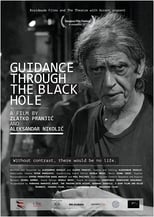 Poster for Guidance Through the Black Hole 