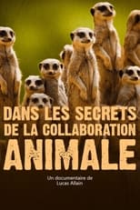 Poster for Dans les secrets de la collaboration animale 