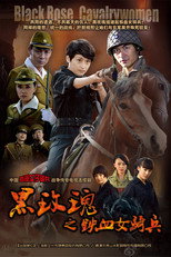 烽火铁骑 poster