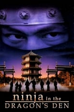 Poster for Ninja In The Dragon's Den