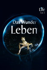 Poster zu Staffel 1 – Life - Das Wunder Leben