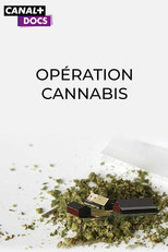 Op&eacute;ration Cannabis