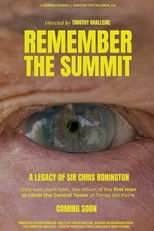Remember the Summit poster