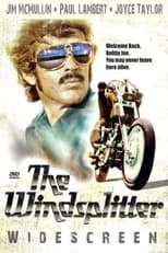 Poster for The Windsplitter