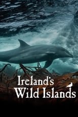 Poster for Ireland's Wild Islands