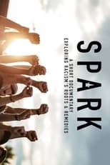 Poster for Spark: A Systemic Racism Story