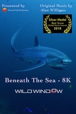 Poster for Wild Window: Beneath the Sea 