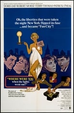 Poster for Where Were You When the Lights Went Out?