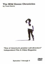 The Wild Goose Chronicles